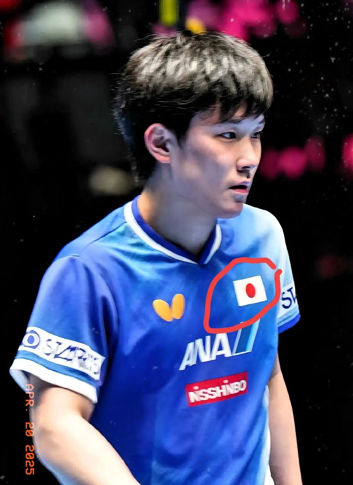 日本乒乓球队鏖战英国乒乓球队,张本智和送出助攻的简单介绍 日本乒乓球队鏖战英国乒乓球队,张本智和送出助攻的简单介绍