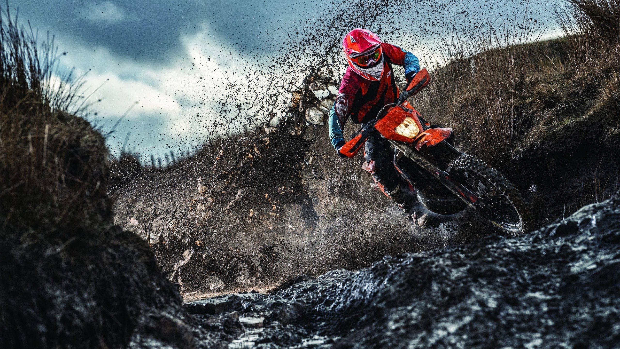 LOL英雄联盟赛事指南-北境烽火，吉林铁骑压制猛龙，英格拉姆于焦点之夜执掌乾坤